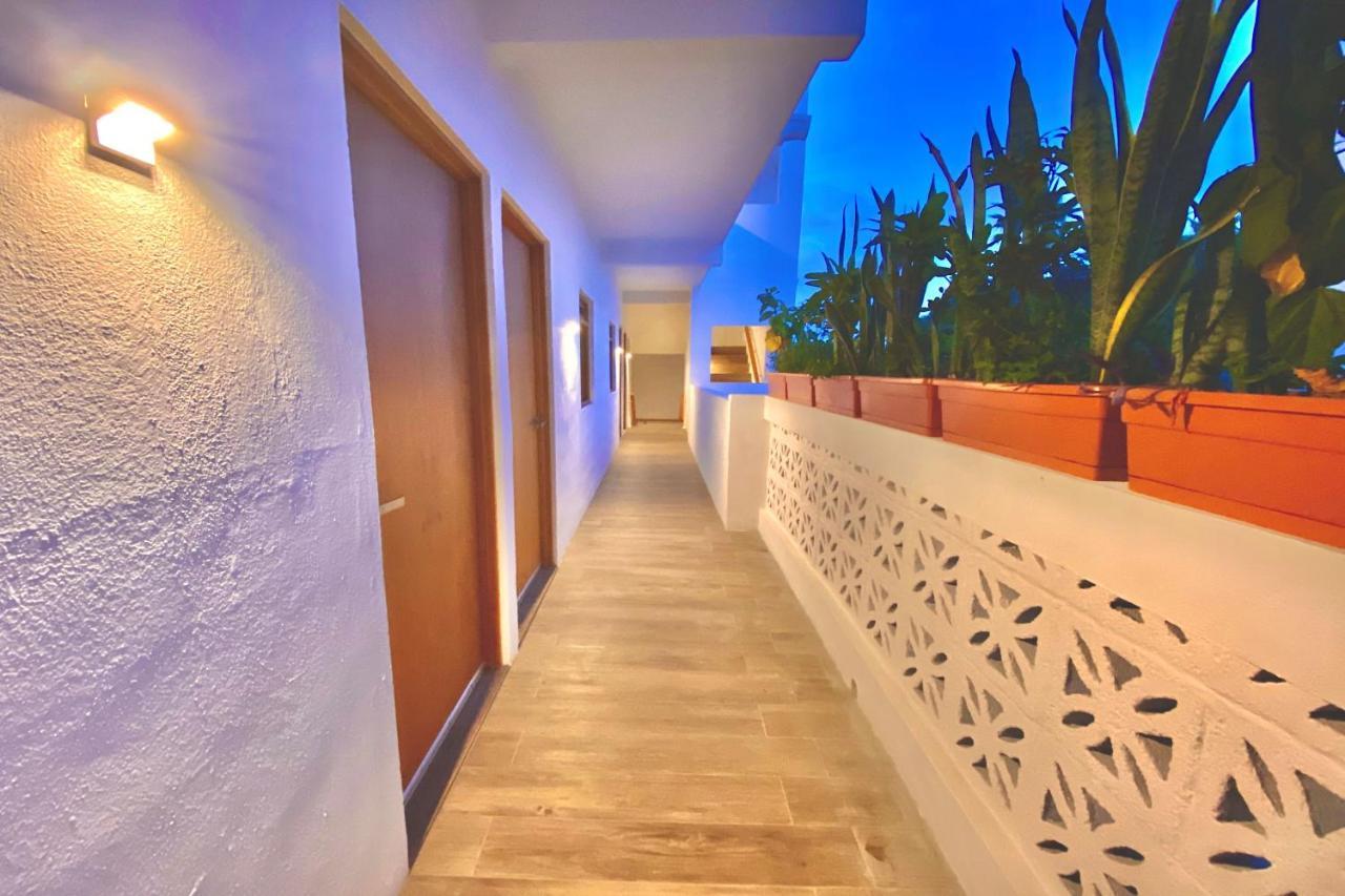 Casa Palo Verde Cabo San Lucas Exterior photo